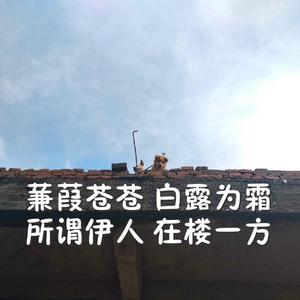 大波美女被大肉棒插
